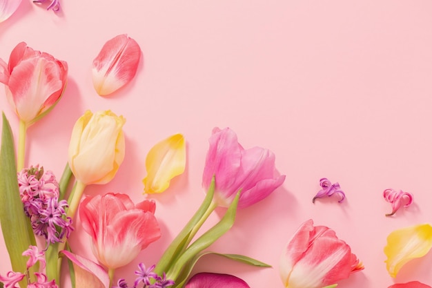 Spring flowers on pink background