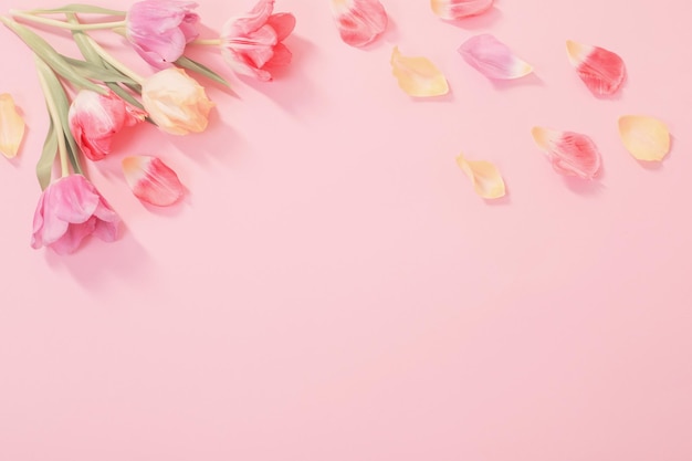 Spring flowers on pink background