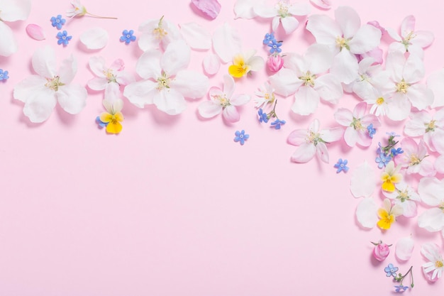 Spring flowers on pink background