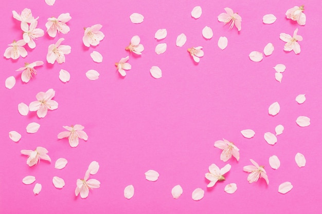 Spring flowers on pink paper surface