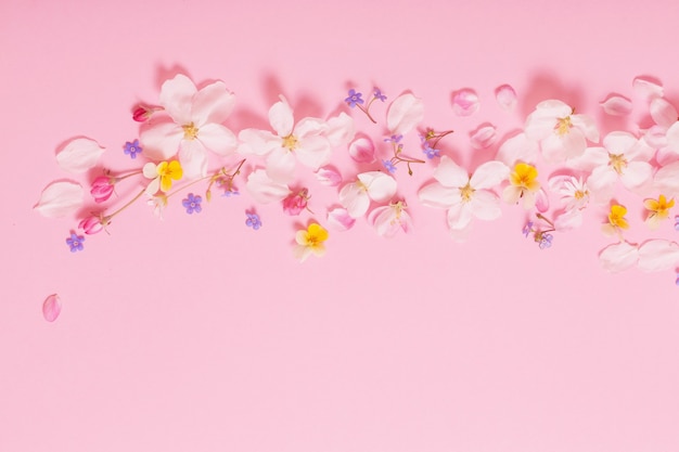 Spring flowers on pink wall