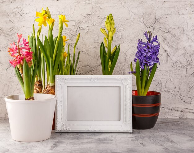 Spring flowers in pots