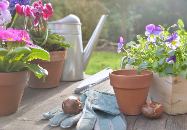 Spring flowers potted and gardening  accessories