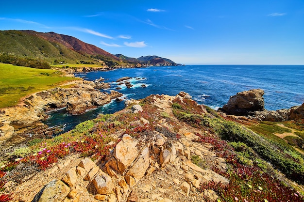 Spring flowers on rocky hiking path leading to ocean view