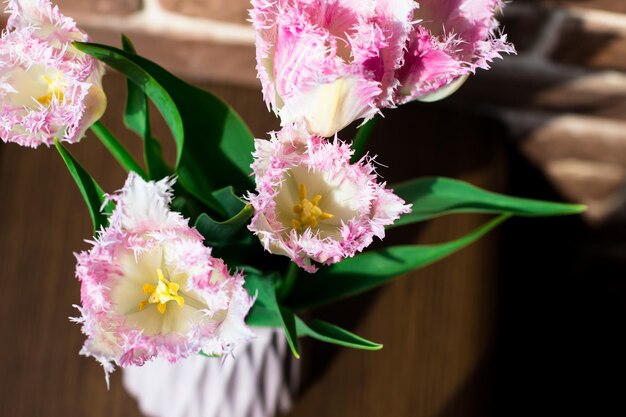 Spring flowers Terry tulips in a vase against a brown window sill and a brick wall