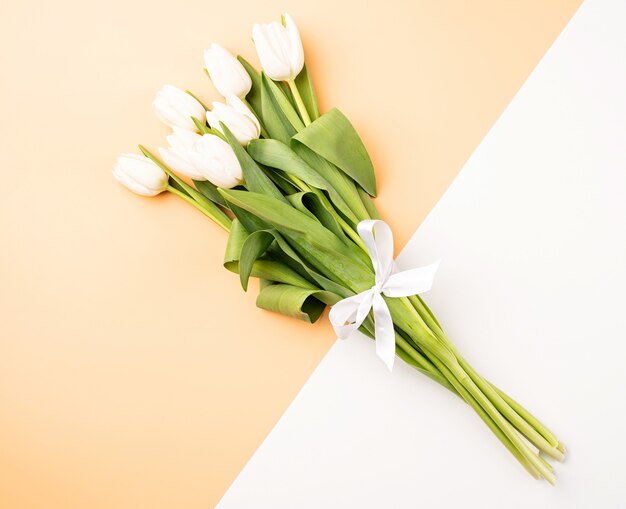 Spring flowers. Top view of white tulips on double colored white and beige background