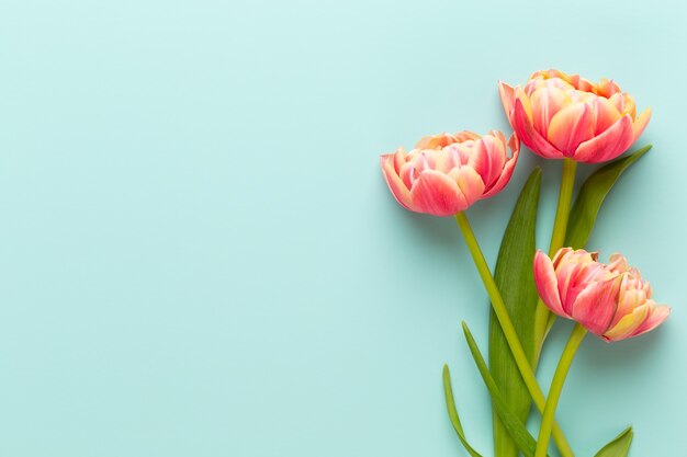Весенние цветы. Тюльпаны на поздравительной открытке пастельных тонов Ретро винтажный стиль. День матери, пасхальная открытка.