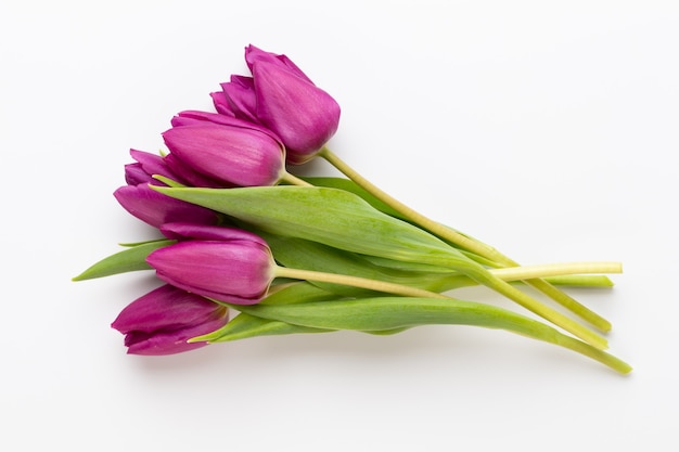 Spring flowers. Tulips on white surface.