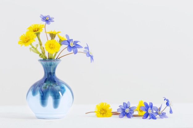 Spring flowers in vase on white background