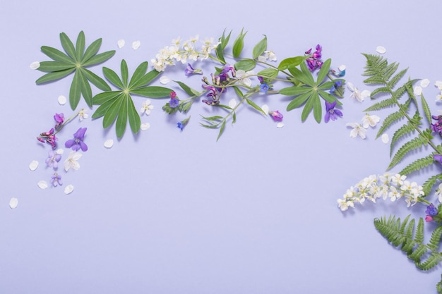 Spring flowers on violet paper background