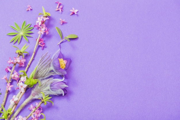 Spring flowers on violet table