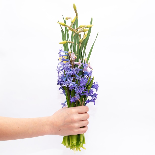 Foto fiori di primavera su sfondo bianco