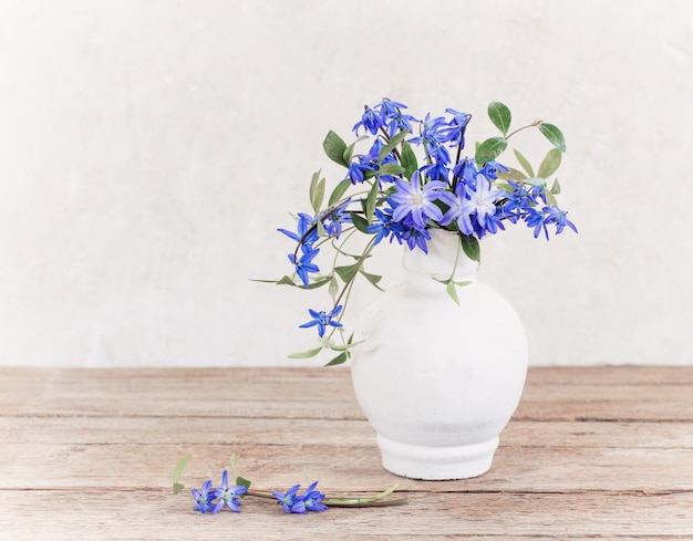 Spring flowers on white background