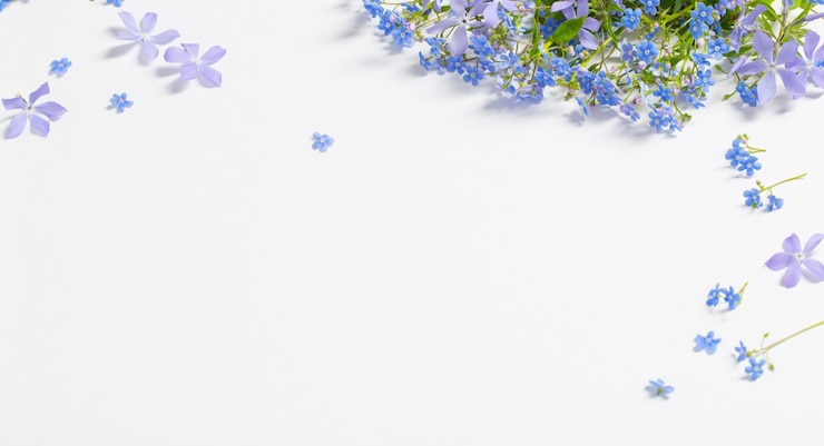 Spring flowers on white surface