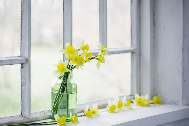 Spring flowers on windowsill