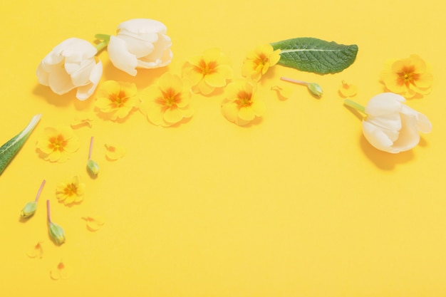 Spring flowers on yellow background