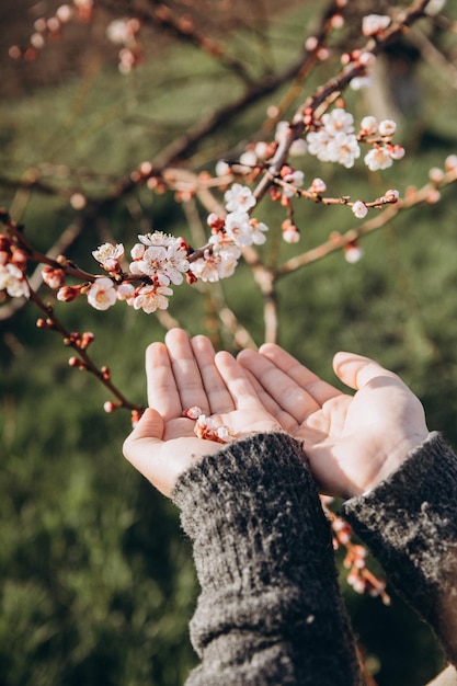 春の花