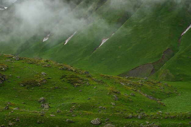 Spring in the foggy and snowy mountains