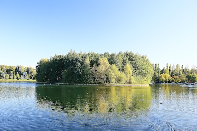 spring forest landscape seasonal / green background trees in the forest, fresh spring sunny landscape in nature, eco concept