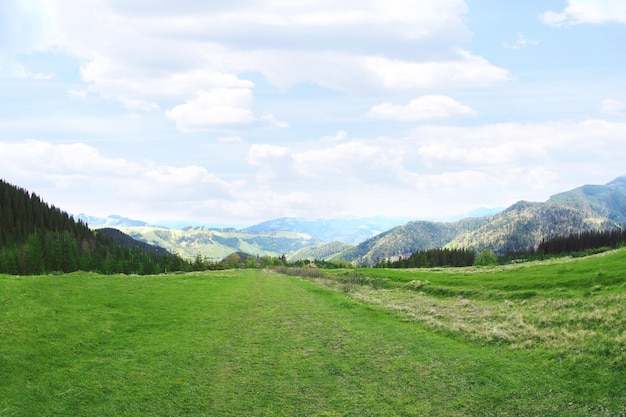 Spring forest on mountain slopes