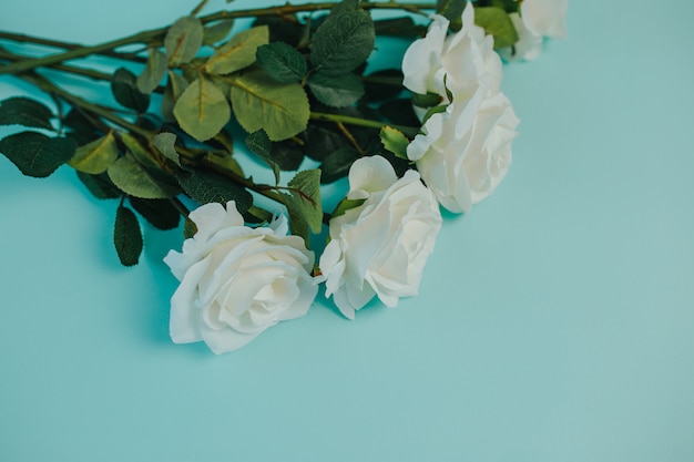 Spring freshness. White roses with green leaves. Bunch of beautiful white roses with long stem and copy space.