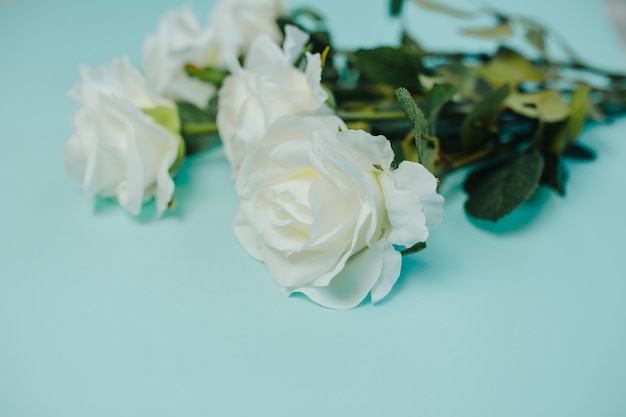 Spring freshness. White roses with green leaves. Bunch of beautiful white roses with long stem.