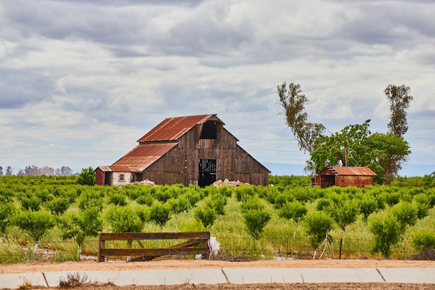 Spring fruit farm with red barn on cloudy day