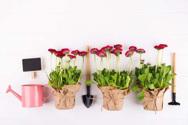 Photo spring garden works concept. gardening tools, flowers in pots and watering can on white table. top view, flat lay