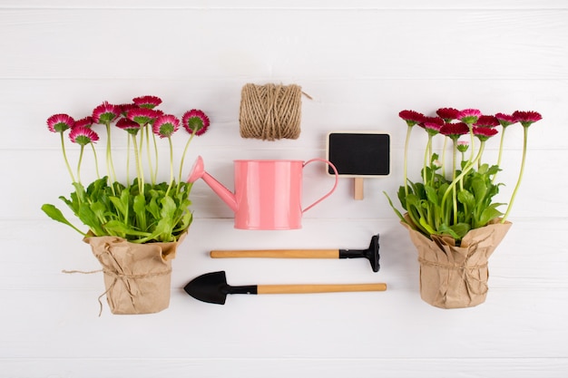 Spring Garden Works Concept. Gardening tools, flowers in pots and watering can on white table. top view, flat lay