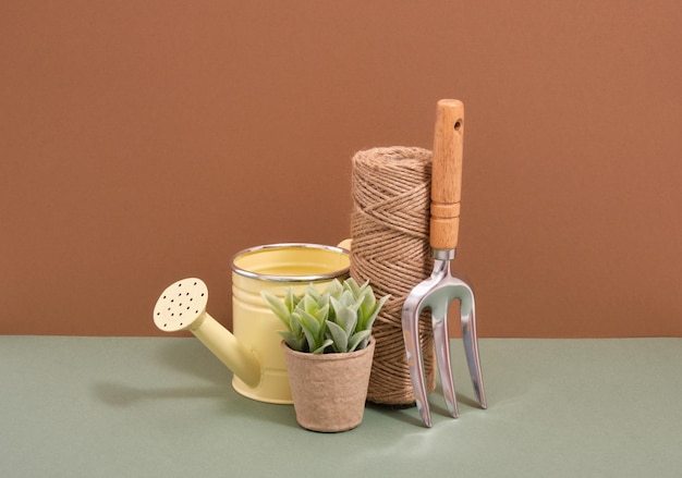 Spring garden works with tools Small rake with wooden handle jute twine watering can and plant