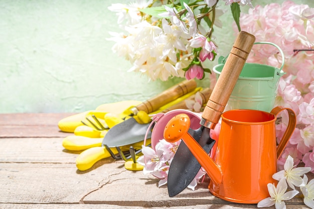 Flatlay di giardinaggio primaverile