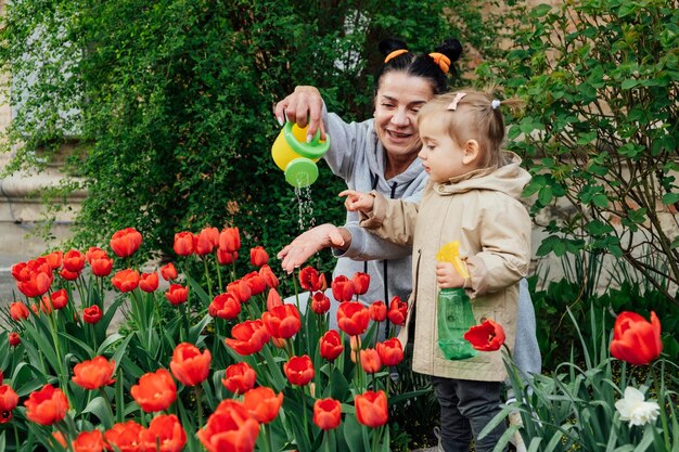 Foto giardinaggio primaverile donna anziana nonna e bambina bambina nipote innaffiare i tulipani