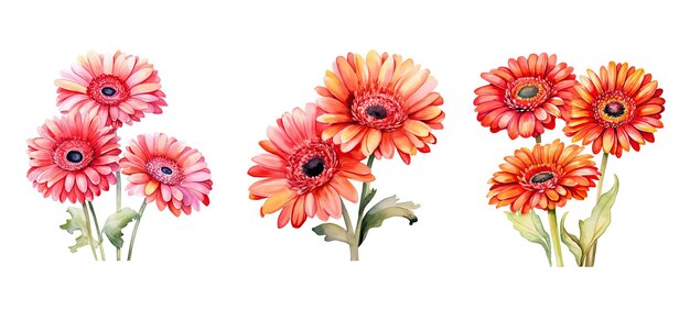 Spring gerbera daisy flowers watercolor ai generated pink yellow bouquet blossom background design spring gerbera daisy flowers watercolor illustration