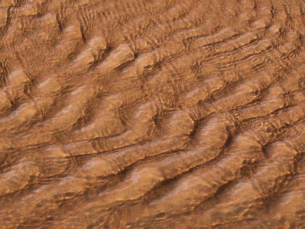 Spring at Great Sand Dunes National Park, Colorado. Medano Creek flows around the base of the dunes in springtime.