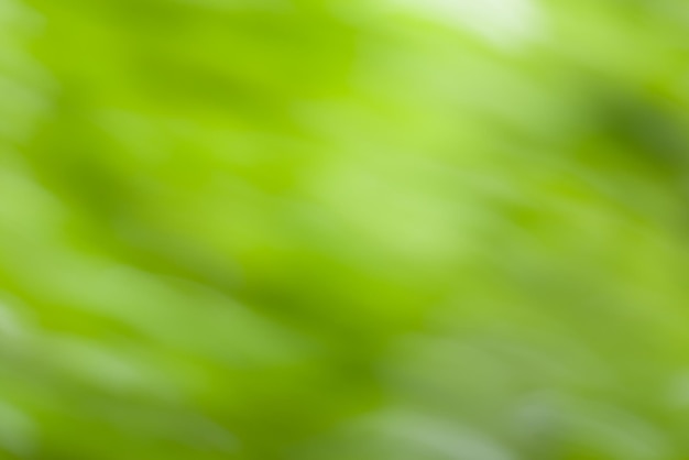 Spring green bokeh background