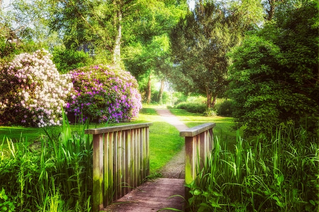 Spring green park. City park with green grass, pond, bridge, trees and blooming rhododendron. Springtime landscape background