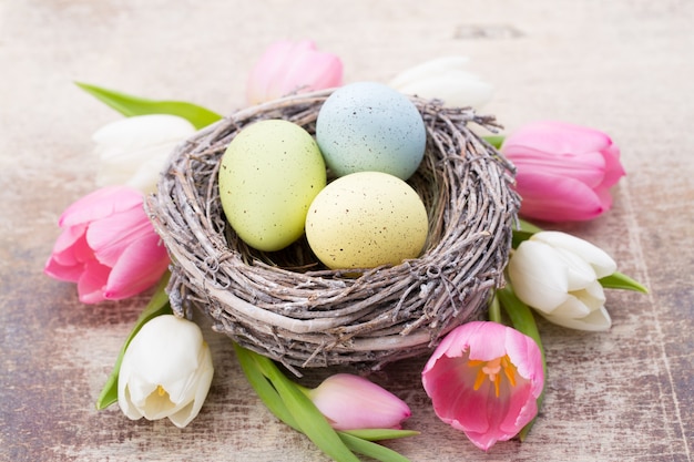 Весенняя открытка. Пасхальные яйца в гнезде. Весенние цветы тюльпаны.