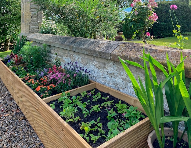 Spring growth in a flower bed English country garden