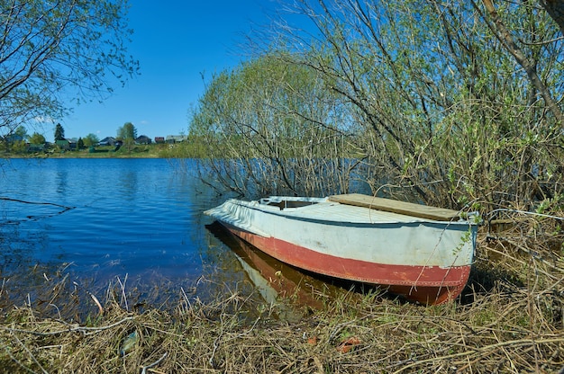 Spring high water. Scenic view of flooded trees during high water at spring time  Northern Europe.