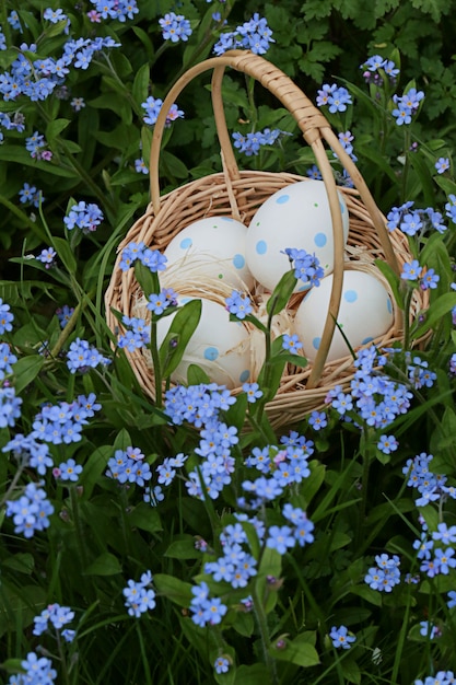 Spring holiday.Easter eggs in a wicker basket in blue flowers of forget-me-not