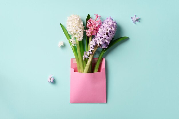 Spring hyacinth flowers in pink postal envelope over blue background with copy space top view flat lay banner spring summer or garden concept creative layout