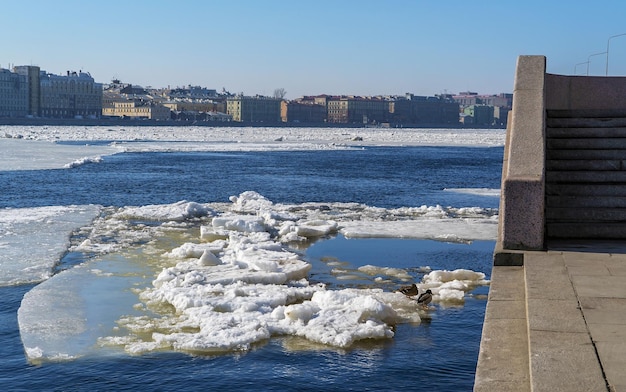 Spring ice drift on the Neva River in St Petersburg