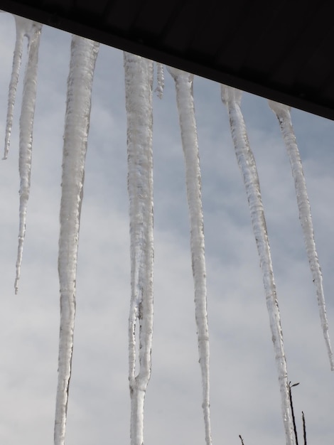 Photo spring icicles on the background of clouds