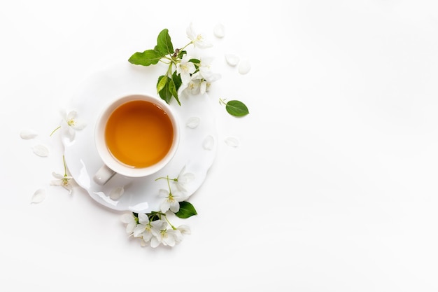 Spring image Top view cup of green tea on figured saucer with white apple tree flowers on white