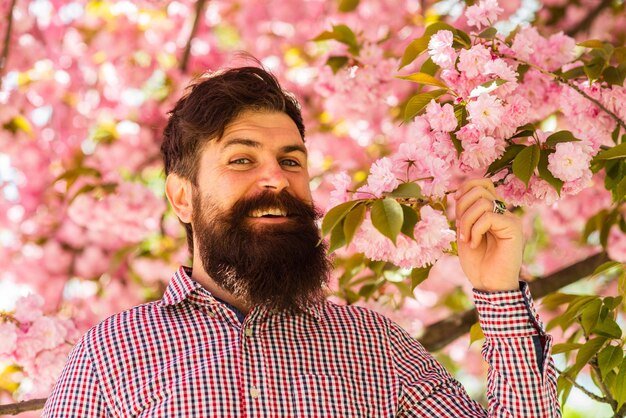 Spring is in my heart Look over there Garden with blossoming large cherry trees Bearded stylish man brutal mature hipster in cherry bloom bearded man enjoy sakura blossom It is spring time