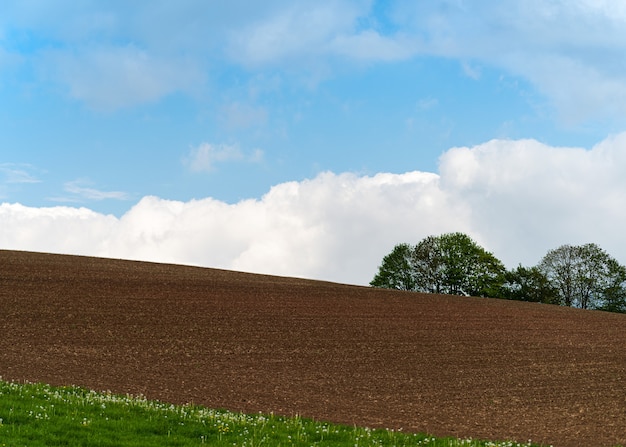 Spring landscape of an agricultural black field with trees