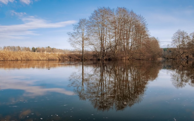 Spring landscape in early spring River trees without leaves reflection in the water