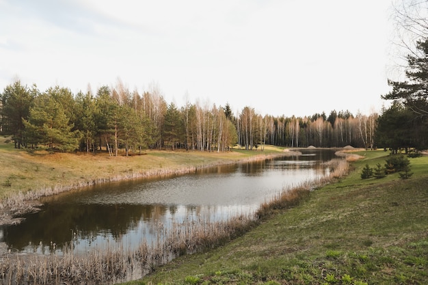 Spring landscape forest lake in spring surrounded by trees calm water surface with reflection bright sunlight and blue sky