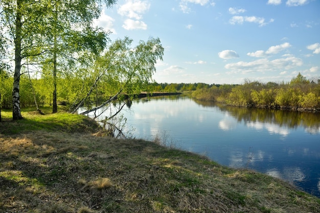 Spring landscape forest river