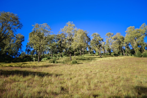 A spring landscape on the hills